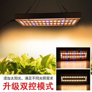 LED植物生长灯升级可串联太阳光大棚花草补光灯全光谱培育种植灯