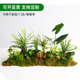 仿真绿植造景花槽花箱组合摆设仿生假花室内景观装饰热带植物隔断
