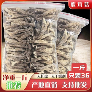 正宗 切根 鹿茸菇干货特级鹿茸菌干货福建土特产鹿茸菇批发食用菌