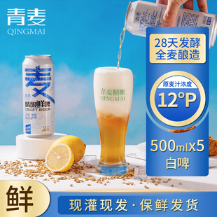 青麦精酿原浆啤酒鲜啤酒白啤扎啤青岛特产500ml*5灌装听装全麦芽