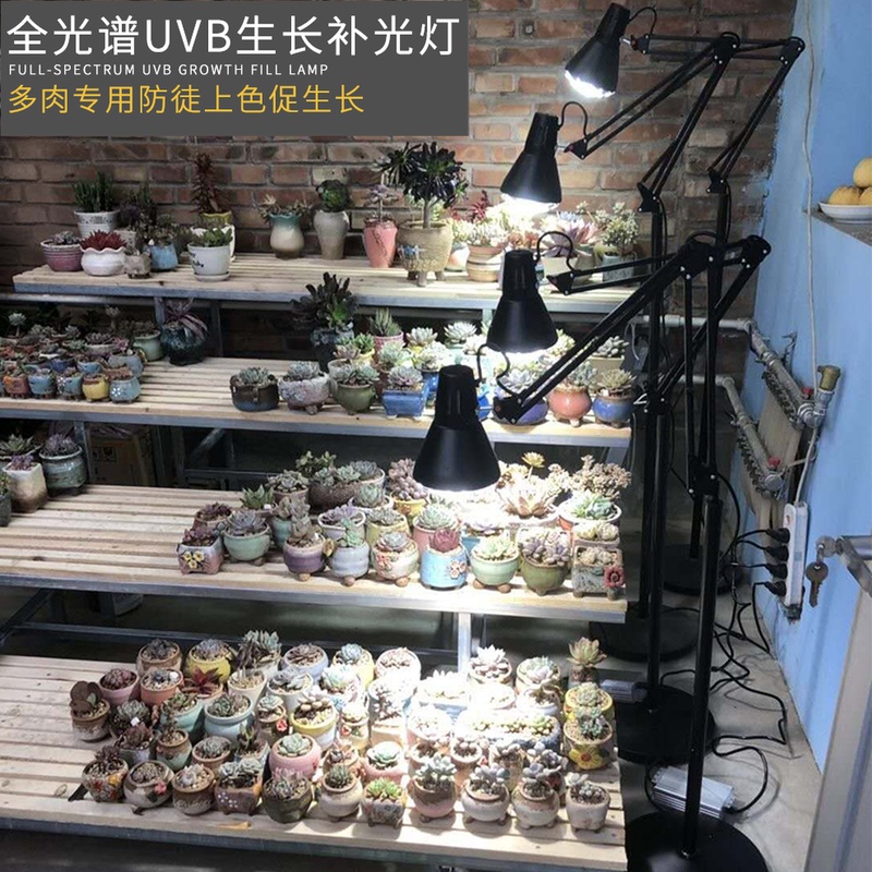 Green plant Fill Light flowers and plants led Art Plant Lights Fill Light sunlight decorate Irradiate Gardening greenhouse fill-in lightin the Decoration main material , Lamps , Functional lamps and lanterns, Grow Light category - from Buy2taobao.com to provide professional Taobao agent buy service