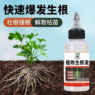 多肉生根营养液强力生根粉剂植物通用型树木壮苗扦插快速移栽花卉