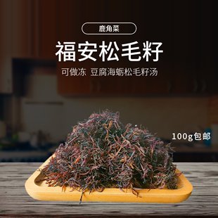 福安松毛籽做冻红菜100克正宗鹿角菜天然海藻菜