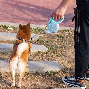 狗狗牵引绳自动可伸缩牵狗绳子宠物中小型犬泰迪柯基柴犬遛狗链子