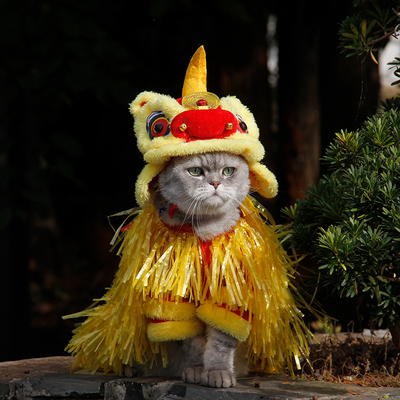 网红猫咪狗狗衣服泰迪搞怪狮子宠物法斗柯基秋冬舞狮服喜庆拜年装