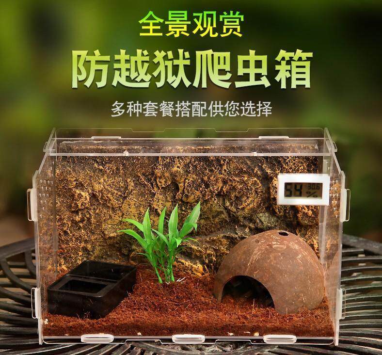 热销白玉蜗牛饲养盒