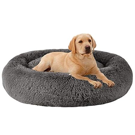 MFOX Calming Dog Bed (XL) for Medium and Large Dogs Pet B
