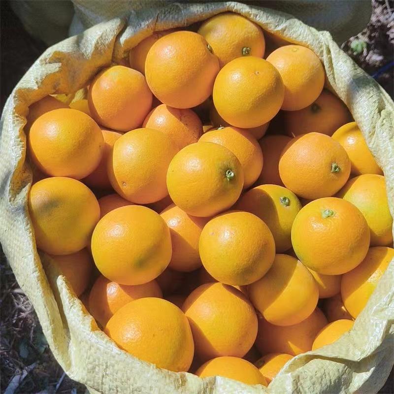 00淘宝新品【顺丰包邮】正宗湖南郴州永兴冰糖橙现摘柑橙10斤/18斤装