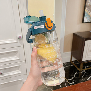 夏季玻璃水杯女士大容量杯喝水刻度男吸管目标便携水壶子瓶