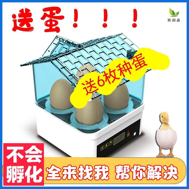 孵蛋器4枚家用小型机孵蛋机迷你孵化小鸡小型器自动控温小型盒箱