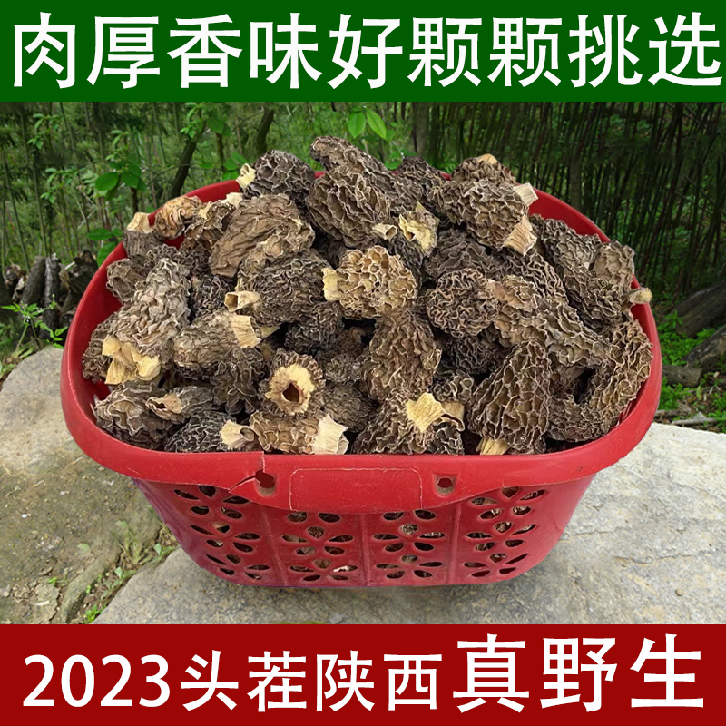 野生羊肚菌干货精选2024头茬新货纯天然陕西羊蘑菇500g非西藏云南