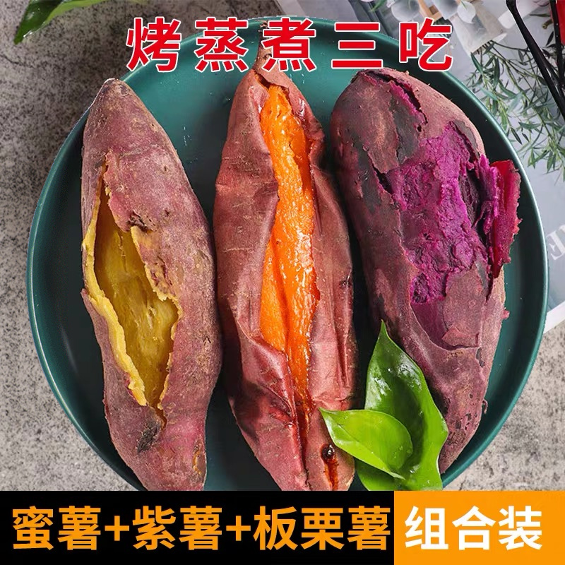 红薯组合新鲜农家番薯地瓜板栗薯紫薯沙地烟薯25号糖心红黄心蜜薯