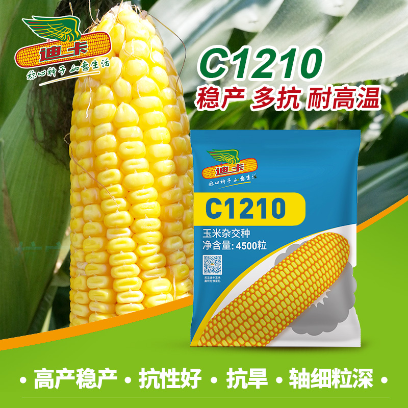 迪卡c1210图片