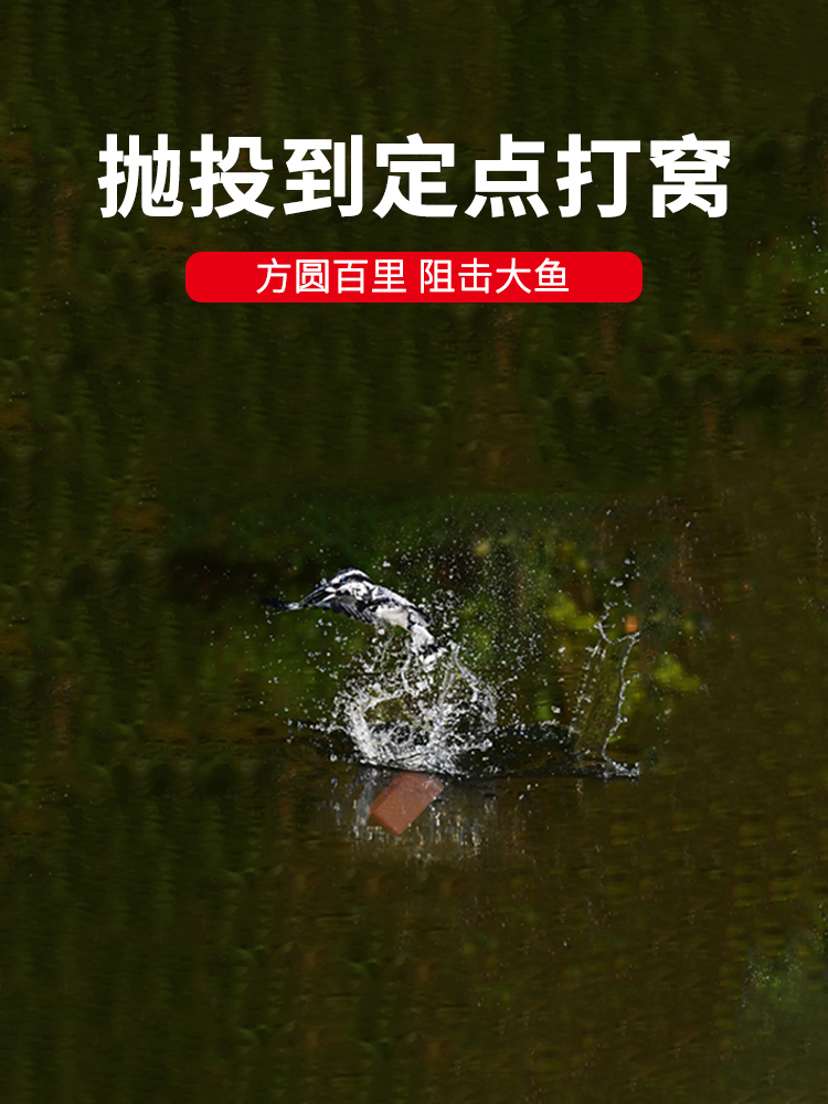 南北鱼饵方块打窝料砖仔红虫五谷饼饵鲫鲤鲮通用野钓手抛型打窝饵