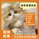 三花猫蓝白色银金渐层幼崽美短起司活体英短拿破仑布偶猫宠物猫咪