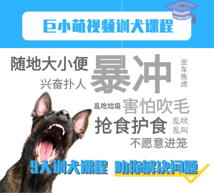 训犬广告海报图片