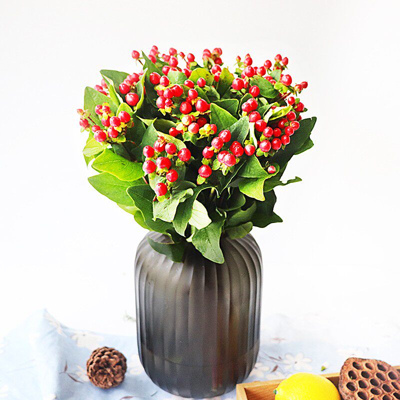 云南昆明红豆相思豆鲜花花束配草插花水养花基地直发鲜花包邮空运