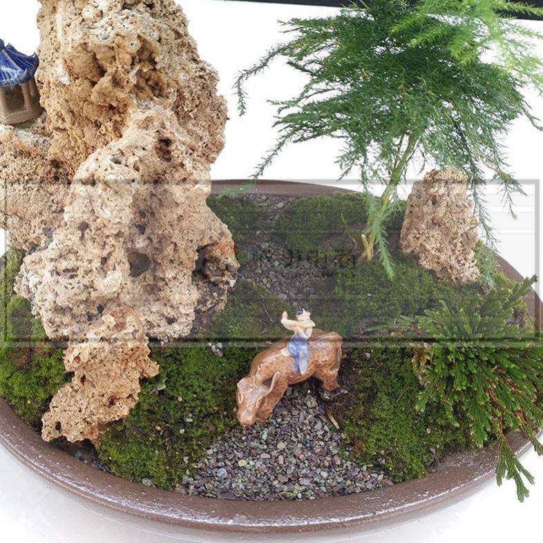 假山造景盆栽吸水石盆景上水石天然原奇石头室内山水植物流水摆件