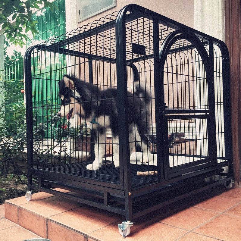一折狗围栏 大型犬 超大号