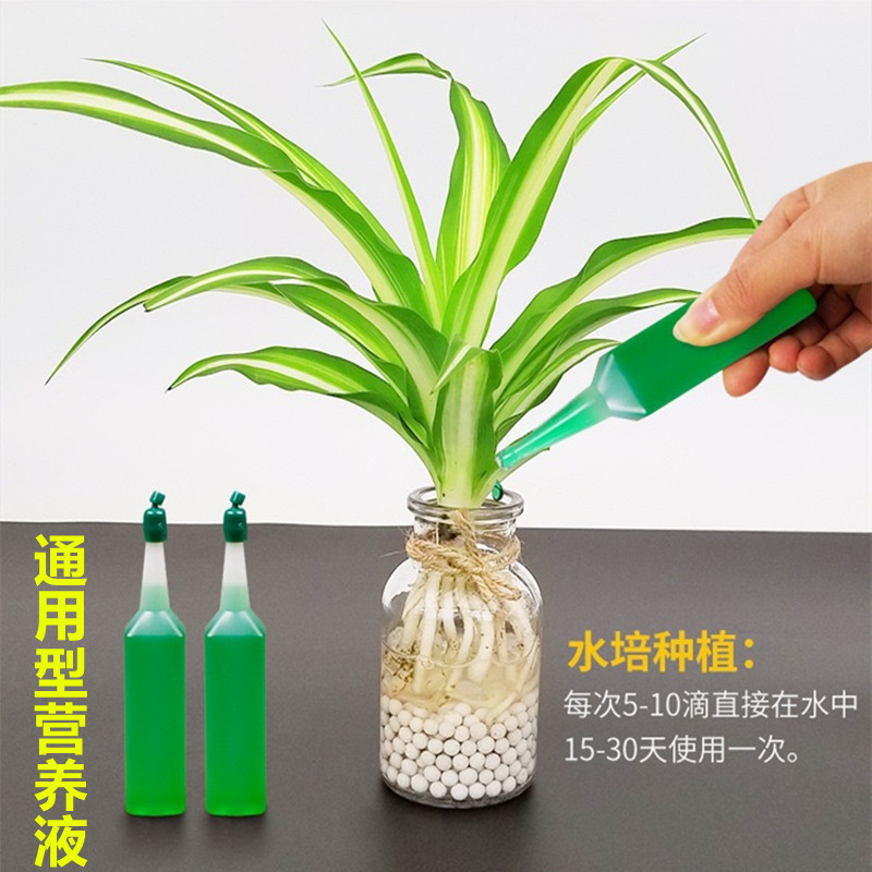 植物营养液通用花卉叶面肥免稀释水培绿植盆栽液体肥多肉果树肥料