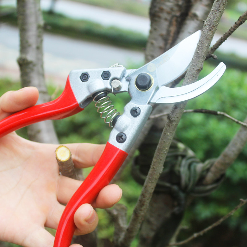 网红不锈钢枝条i剪刀花店插花剪刀 园林粗枝剪桑枝剪 修剪花木树