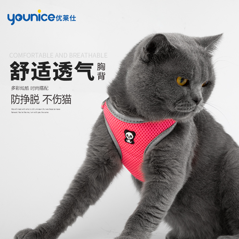 英短蓝猫咪牵引绳背心式可调节防挣脱小奶猫小型幼猫专用溜猫绳在类目 宠物/宠物食品及用品, 猫/狗日用品, 家用牵引带中 - 来自Buy2taobao.com提供专业的淘宝代购服务
