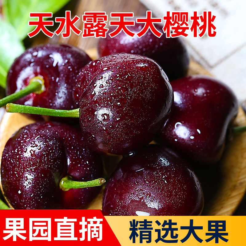 甘肃天水大樱桃新鲜水果2-5斤国产
