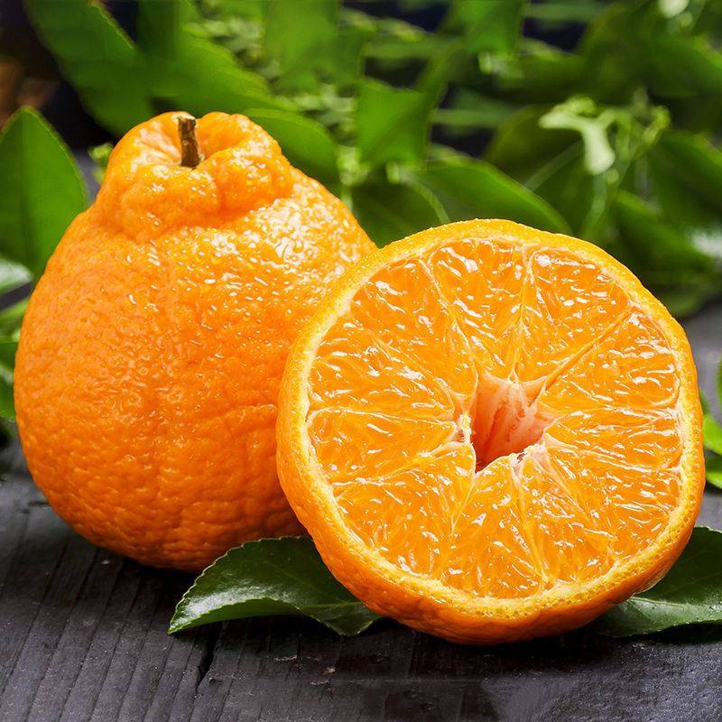 四川春见耙耙柑丑橘现摘现发5斤特大果新鲜水果粑粑柑丑八怪丑桔