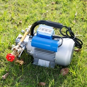 Garden sprayer motor plunger pump pesticide machine household 220V electric agricultural fruit tree electric sprayer high voltage