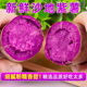 山东香糯紫罗兰紫薯新鲜细腻特级农家新鲜小地瓜自种红薯9斤