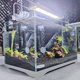 森森小型鱼缸桌面客厅造景生态斗鱼懒人超白玻璃家用水草缸水族箱