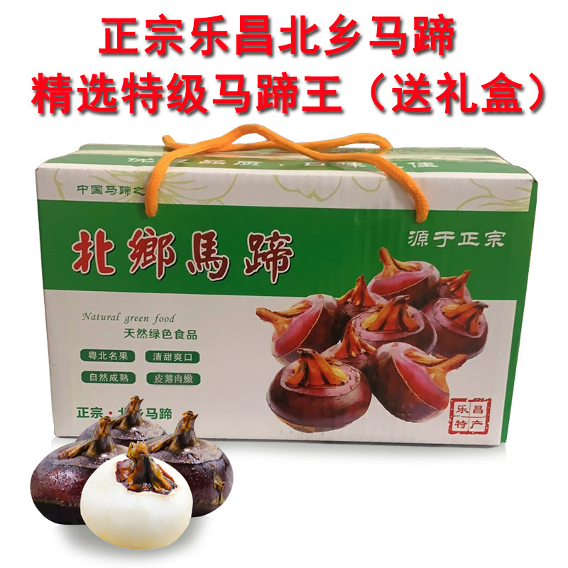 马蹄王乐昌北乡马蹄荸荠新鲜水果现挖即食脆甜无渣韶关粤北特产10