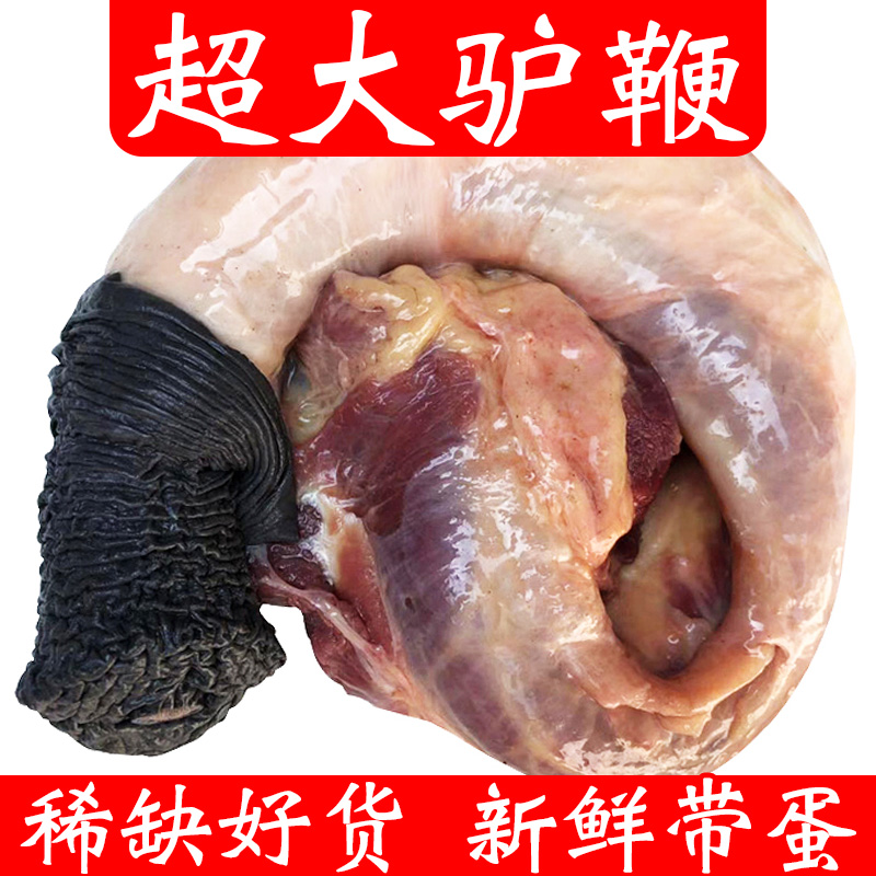 河北特产散养新鲜驴鞭驴宝驴三样驴蛋驴腰子驴生殖器真空包装顺丰