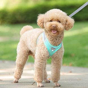 狗狗牵引绳背心式幼犬小型犬狗绳子泰迪比熊胸背带狗链子夏季透气