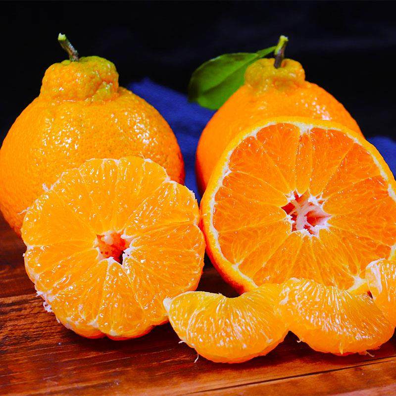 正宗四川春见耙耙柑8斤大果新鲜橘子桔子当季整箱水果粑粑丑包邮