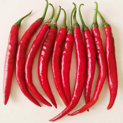 新鲜红辣椒红线椒 红海椒新鲜5斤生鲜二荆条新鲜农家菜园直发