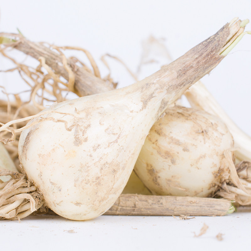 带叶新鲜藠头新鲜芥头无叶腌制泡菜大头茭头新鲜荞头新鲜5斤鲜嫩