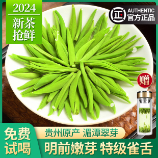 贵州雀舌2024年新茶特级明前绿茶湄潭翠芽散装春茶礼盒装茶叶500g