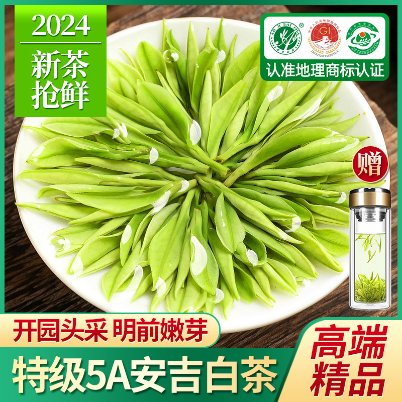 明前精品安吉白茶2024新茶特级绿