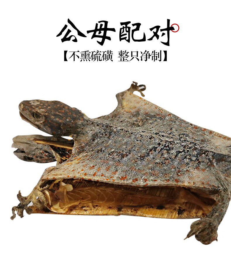 蛤蚧-特价促销-优惠券领取-价格|多少钱|什么牌子好-35优惠券网站