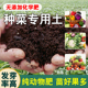 营养土养花专用土通用型花土大包种菜土壤有机盆栽种植土泥土家用