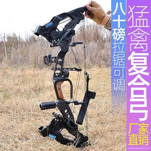 k牌猛禽复合弓弓箭户外反曲弓禁止狩猎射击钢珠弓三角弓两用弹弓