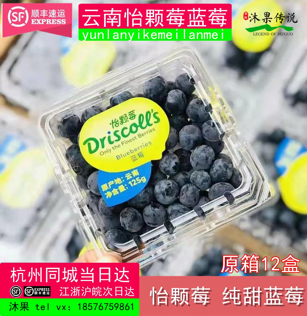 云南新款中国大陆云南省怡颗莓蓝莓中果超甜鲜脆多汁新鲜孕妇水果