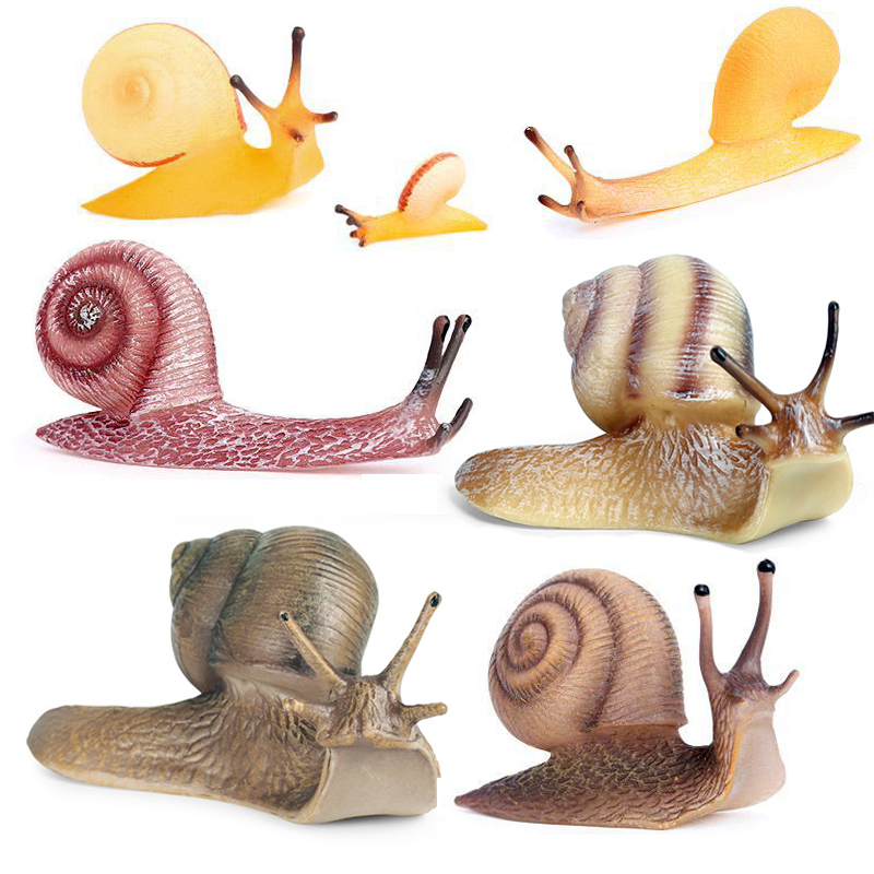 仿真蜗牛玩具爬行动物模型微景观沙盘摆件儿童启蒙早教认知教具