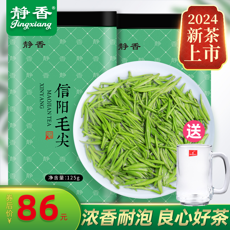 静香毛尖茶叶2024新茶信阳毛尖雨