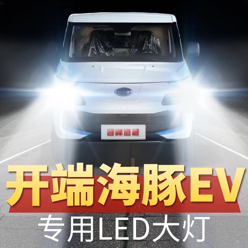 19年款海豚EV led大灯远光近光车灯改装汽车超亮白光灯泡原厂配件