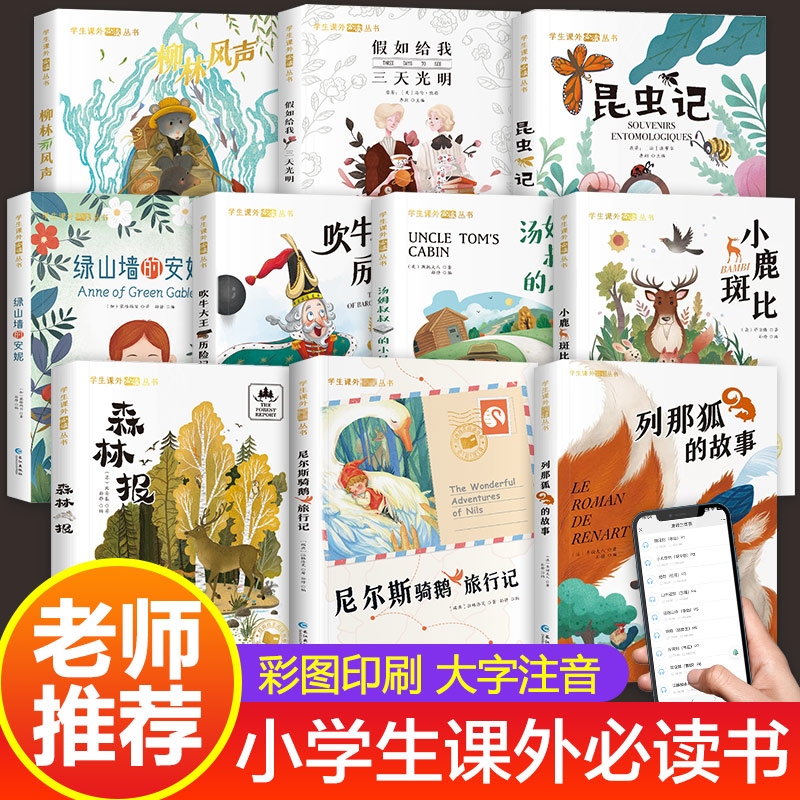 国际大奖小说注音版全套10册儿童文