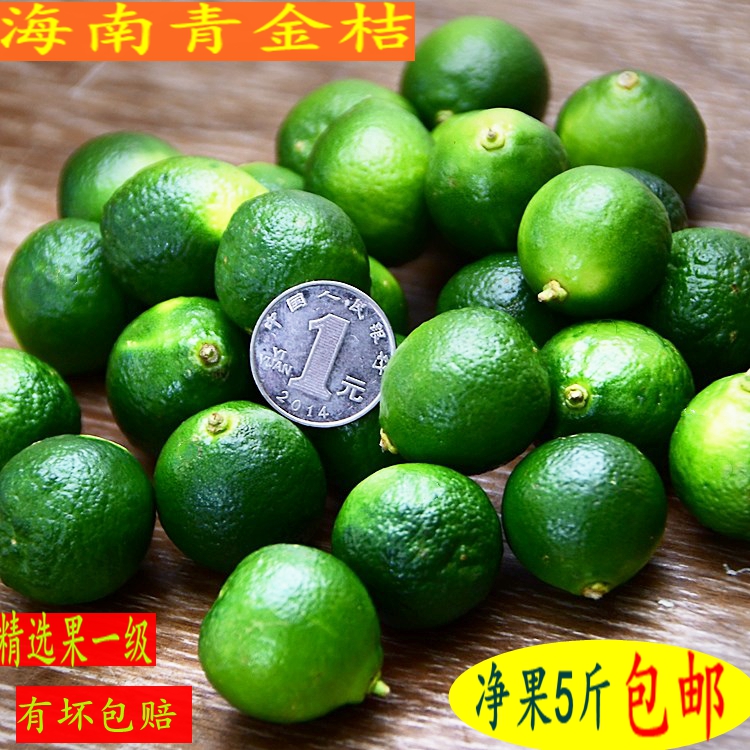 新鲜海南青金桔5斤包邮酸爽多汁绿小金桔酸柑鲜桔绿皮
