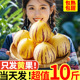 石林人参果云南10斤圆果当季新鲜孕妇水果黄肉人生果整箱大果包邮