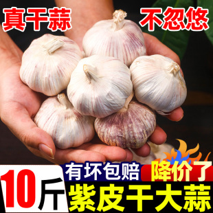 云南紫皮大蒜头10斤新干蒜大蒜农家紫皮新鲜蔬菜批发大蒜种2斤3斤